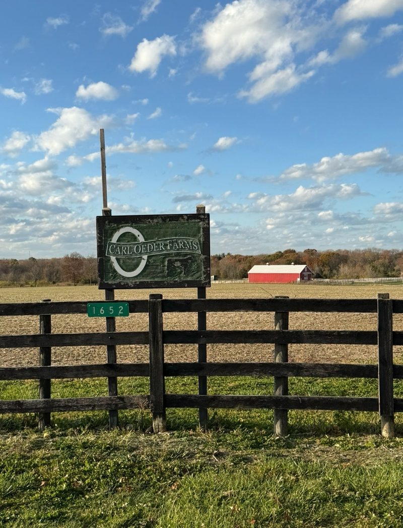 Carl Oeder Farms — Registered Limousin, Angus & Lim-Flex, Morrow OH
