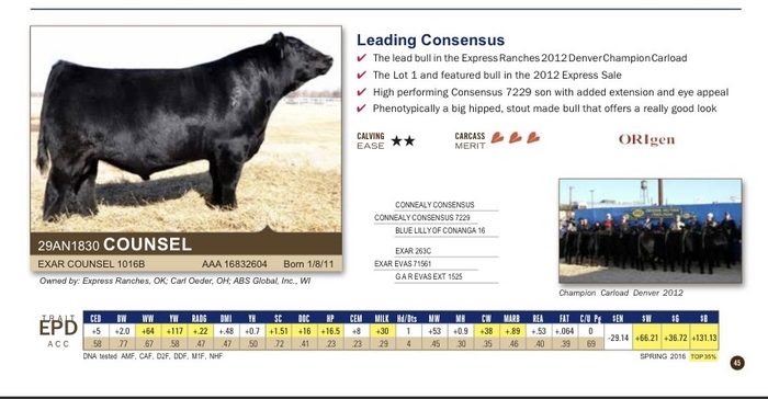 EXAR Counsel — Express Ranches bull co-owned by Carl Oeder, OH